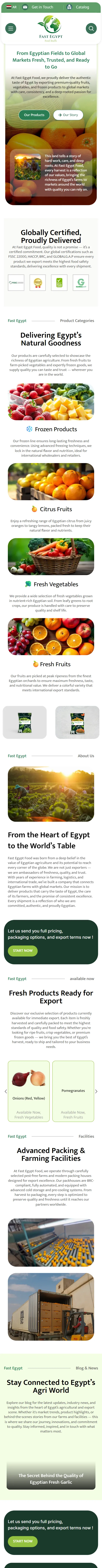 Fast Egypt Food on a phone