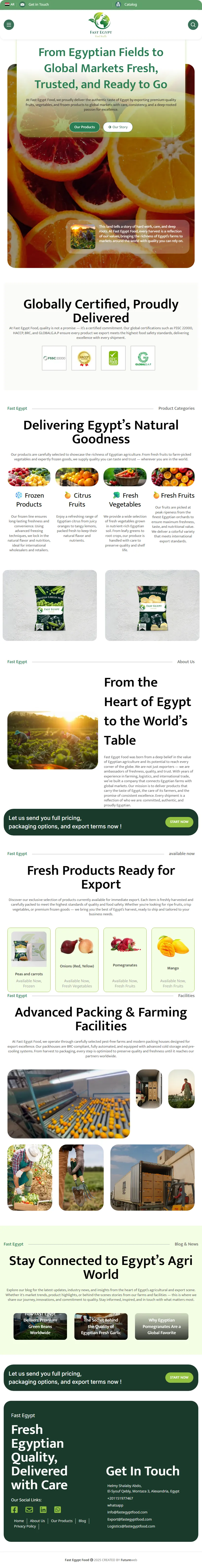 Fast Egypt Food on a tablet